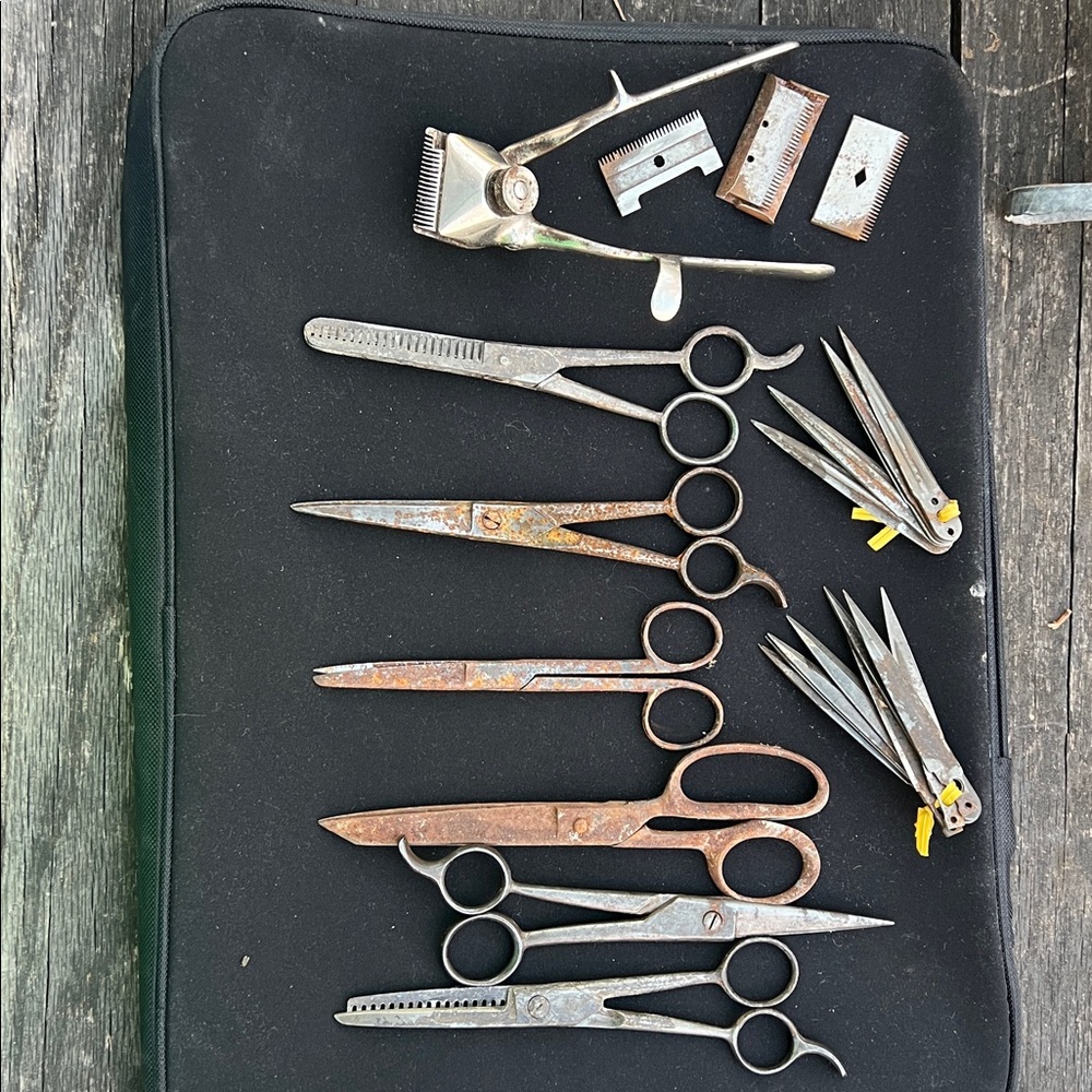 Vintage (4) scissors (2) thinning shears 
(14) extra blades manual clippers - Picture 3 of 3